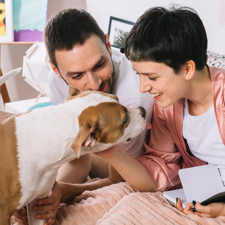 Enhancing Your Pet Parenting Skills: Benefits of Animal Care Courses by The Learning Group